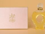 l'image d'un flacon de parfum posé à côté d'une boîte