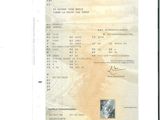 l'image d'un document sur lequel figure la photo d'une personne
