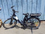 un vélo garé à côté d'une girafe