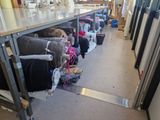 many bags of clothes on a table in a room