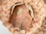 a close up of a teddy bear wearing a knitted hat