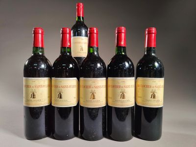 six bouteilles de vin sont alignées sur une table