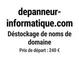Photo 1/1 du lot
