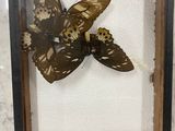 a picture of a butterfly in a frame on a table