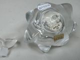 a glass vase with a skull inside of it
