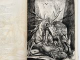 an open book with a drawing of a deer and a man on a horse