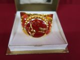 an image of a red and gold ring in a white box
