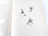 an open book with drawings of animals on it