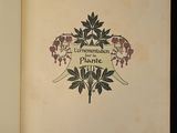 an open book with a picture of a plant on it