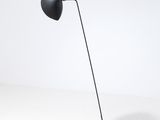 the floor lamp is black and has a black shade on it