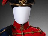 an image of a red and blue uniform with a gold eagle on it