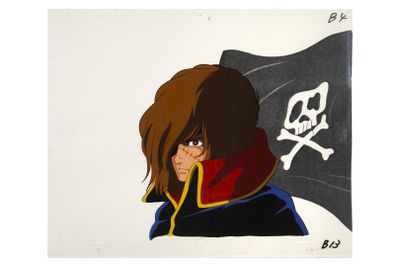 a drawing of a woman with a pirate flag and skull on her head