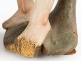 a close up of a statue of a person ' s feet