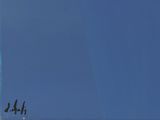 birds that are sitting on a wire in the sky