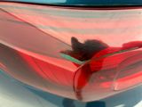 a cat that is sitting inside of a red car