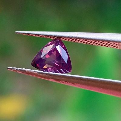 une personne tenant une pince ornée d'une pierre précieuse violette