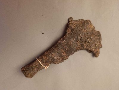 a bone that has been found on a table