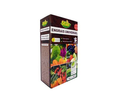 une boîte contenant un assortiment de fruits et légumes sur fond blanc