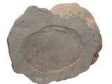 a stone object that is sitting on a white surface
