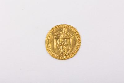 an image of a gold coin with a coat of arms on it