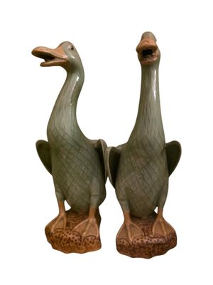 two birds that are standing next to each other