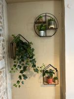 Sur désignation à CHANAS (38150): 12 Banquettes en simili cu… (photo 5)