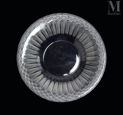 une image représentant un bol en verre sur fond noir