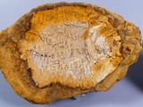 two pieces of wood are shown on a blue surface