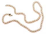 une image représentant un collier de perles sur fond blanc