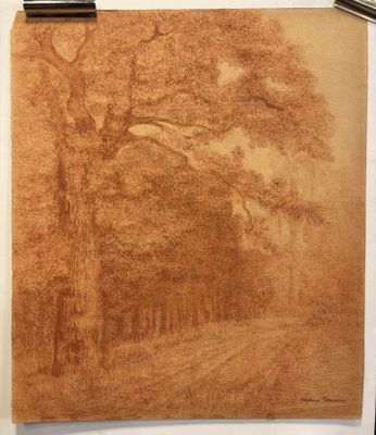 a drawing of a tree on a piece of paper next to a pair of pencils