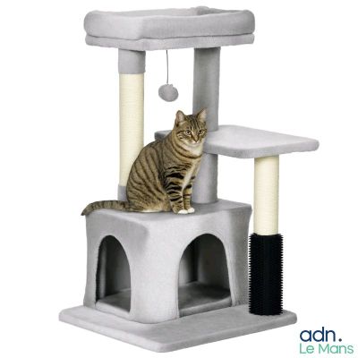 a cat that is sitting on top of a cat tree