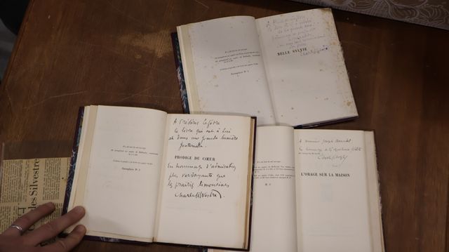 Albert Pestour « poêmes »(6) ; C. Silveste « l’orage sur la maiso...