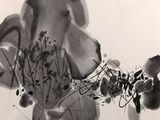 Photo 1/4 du lot