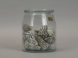 a glass jar filled with shells on a white surface