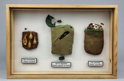 une photo d'une vitrine contenant trois objets différents