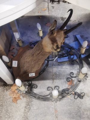 un cerf assis par terre à côté de toilettes