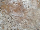 a close up of a piece of bread on a counter