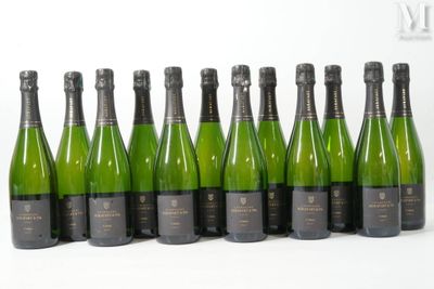 six bouteilles de champagne alignées sur une surface blanche