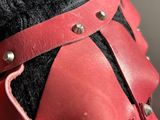 a close up of a stuffed animal wearing a red leather harness