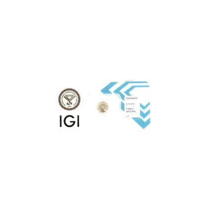 une image représentant une photo d'un bouton sur lequel figure un logo
