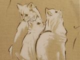 Photo 1/1 du lot