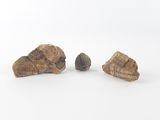 trois morceaux de bois posés les uns à côté des autres sur une surface blanche