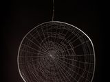 a close up of a spider web hanging from a ceiling
