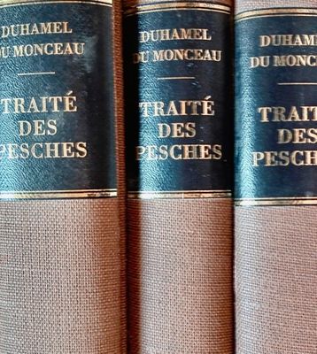 DUHAMEL DE MONCEAU (Henri-Louis) Traité général des pêches e…