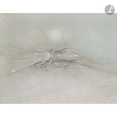 a spider that is sitting on top of a table