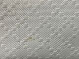 a close up of a mattress with a small bug on it