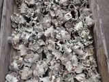 une boîte en bois remplie d’une multitude d’objets en argent