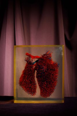 une image représentant un cœur rouge dans une boîte transparente posée sur une table
