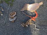 a cat that is laying on the ground next to some tools