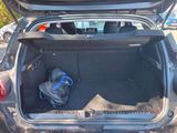 the back of a car with the trunk open and a bag in the trunk